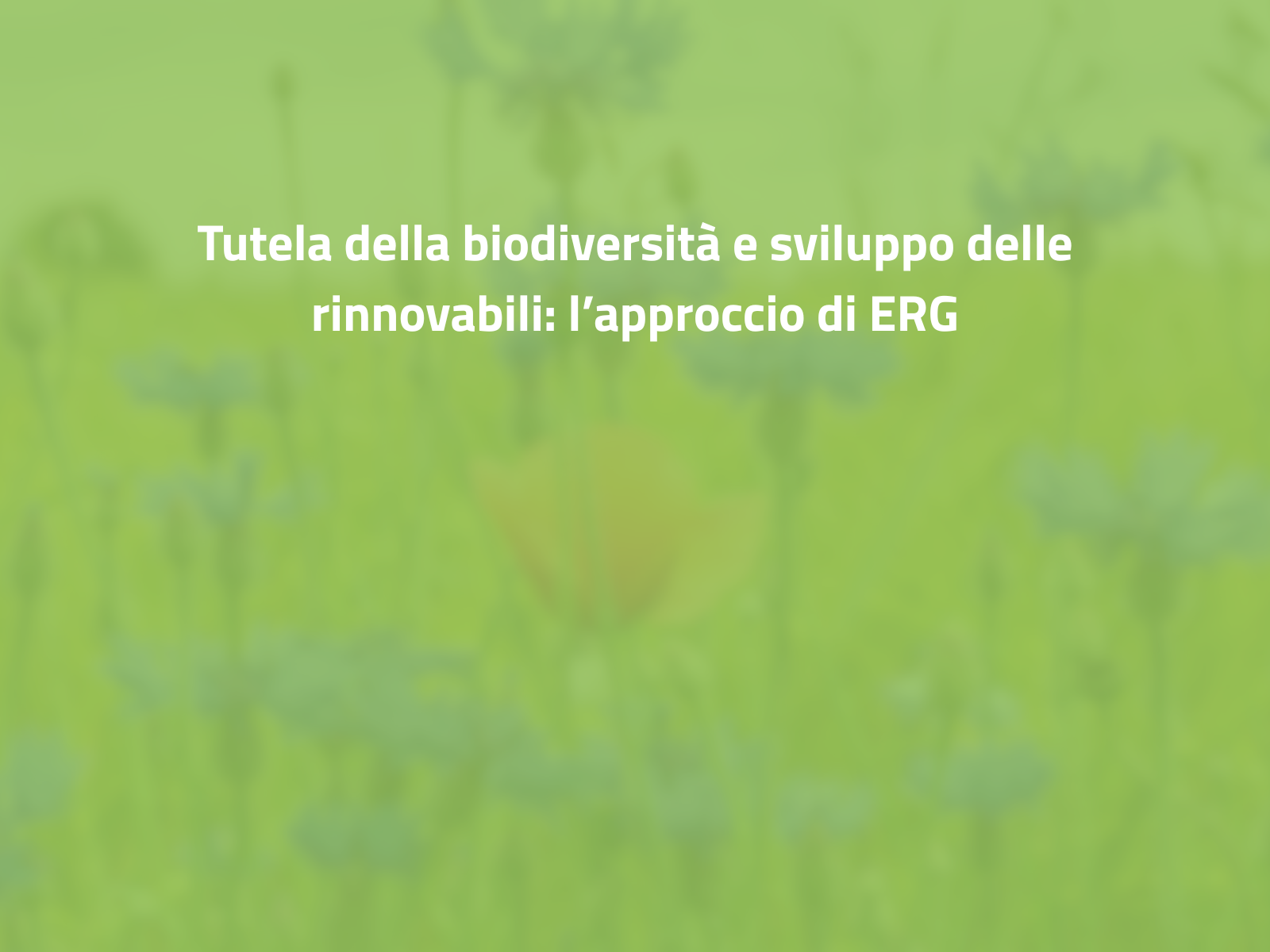 Tutela della biodiversità e sviluppo delle rinnovabili: l’approccio di ERG